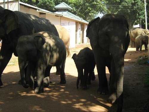 ele orphanage 13 20120327 1579095355.jpg