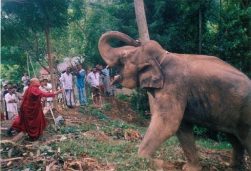 ele orphanage 1 20120327 1821311264.jpg