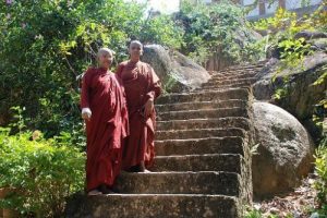 nunnery 3 20120327 1355922914 300x200.jpg